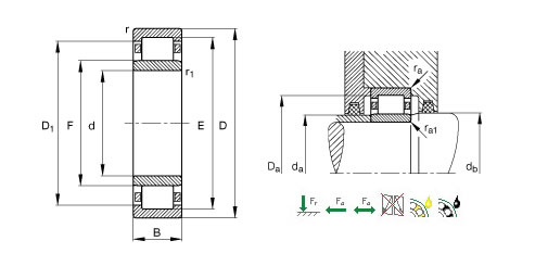 NSKNF319圆柱滚子轴承平面图