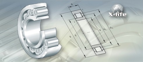 NSKNF319轴承三维模拟图