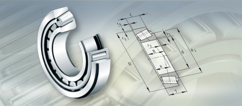 FAG32919+T2BC095轴承三维模拟图