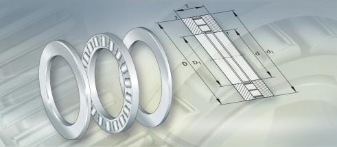 SKF292/950E轴承三维模拟图