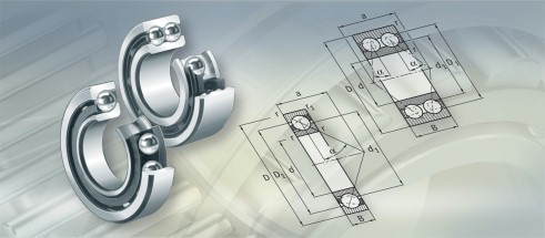 NSKQJ319轴承三维模拟图