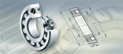 FAG2219M轴承三维模拟图